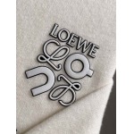 2025年12月5日入荷新作LOEWEセーター ★高級品/誕生日プレゼント/OM工場