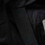 2025年11月17日秋冬新作CANA DA GOOSEダウンジャケット高品質人気商品/XQY工場