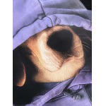 2025年12月24日入荷秋冬新作Balenciaga半袖 tシャツ/XQY工場