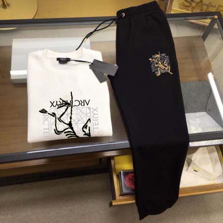 2026年1月28日入荷新作ARCTERYX上下セット大人気 激安/zh工場