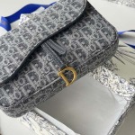 2026年1月13日新作高品質DiorバッグDenim :21.5x12.5x3.7/GQ工場