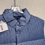 2026年1月16日新作DIORダウンジャケット高品質人気商品/誕生日プレゼント/FF工場