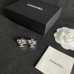 2026年2月2日入荷新品シャネルピアスギフト/誕生日/記念品/アクセサリーxin工場