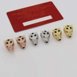 2026年2月3日入荷新品カルティエピアスギフト/誕生日/記念品/アクセサリーxin工場