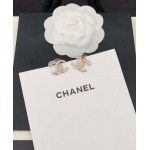 2026年2月4日入荷新品Chanelピアスギフト/誕生日/記念品/アクセサリーxin工場