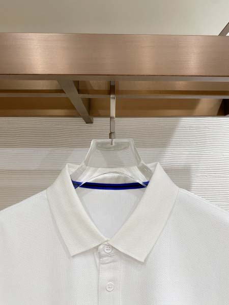 2026年3月7日入荷春夏新作Burberry半袖 tシャツ高品質DH工場