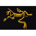 2026年3月17日新作ARCTERYX半袖 tシャツ人気商品/誕生日プレゼント/FF工場