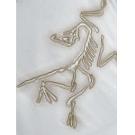 2026年3月31日入荷新作ARCTERYX半袖Tシャツ春夏高品質超厳選★入手困難/LD工場