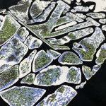 2026年4月15日新作Louis vuitton半袖 tシャツ高品質/誕生日プレゼント/FF工場