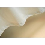 2026年4月16日新作Acne半袖 tシャツ高品質/誕生日プレゼント/FF工場S-XL