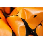 2026年4月16日新作Acne半袖 tシャツ高品質/誕生日プレゼント/FF工場S-XL