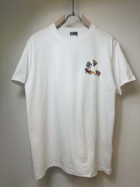 2026年4月23日春夏新作Dior半袖 tシャツ高品質/誕...