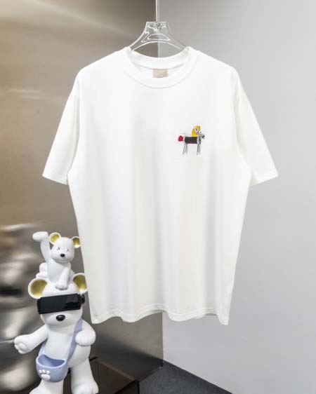 2026年4月23日春夏新作Dior半袖 tシャツ/誕生日プ...