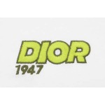2026年4月23日春夏新作DIOR半袖 tシャツ/誕生日プレゼント/FF工場