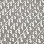 2026年8月27日秋冬新作DIOR長袖tシャツ高品質人気の商品/YGY工場