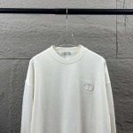 2026年9月18日秋冬新作Diorスウェット高品質人気の商品/ZZZ工場