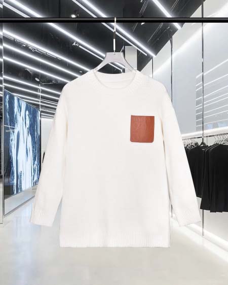 2026年9月18日秋冬新作LOEWEセーター高品質人気の商...