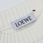 2023年11月23日秋冬新品入荷LOEWE セーターDW工場