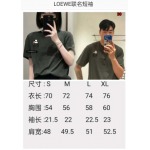 2024年1月19日春夏人気新作入荷LOEWE  半袖 Tシャツ 30工場