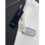 2024年5月13日夏高品質新作入荷ディオール半袖 Tシャツ薄手 wz工場