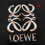 2024年8月16日秋冬新作入荷人気LOEWE  半袖 Tシャツ DW工場