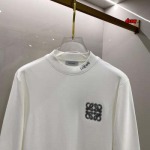 2024年8月23日秋冬高品質新作入荷LOEWE 長袖 Tシャツ duw工場 S-XXL