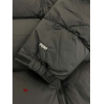 2024年10月17日秋冬新品入荷The North Face ダウンジャケットアウター YG工場