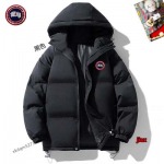 2024年10月21日秋冬新品入荷 Canada Goose  綿入れの服ジャケットアウター   JIX工場