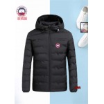 2024年10月21日秋冬新品入荷 Canada Goose 綿入れの服ジャケットアウター LUYI工場