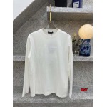 2024年10月24日秋冬高品質新品入荷 Dolce&Gabbana 長袖 TシャツKNT工場