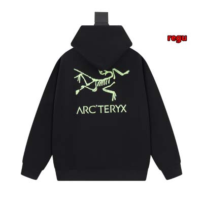 2024年11月14日秋冬新作入荷ARCTERYX パーカー REGU工場