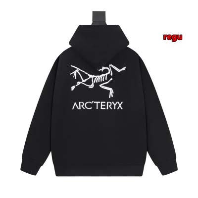 2024年11月14日秋冬新作入荷ARCTERYX パーカー REGU工場