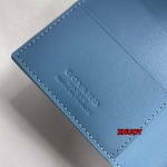 2024年11月1日秋冬新品入荷Goyard パスポートホルダー  zhy工場