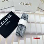 2024年11月1日秋冬新品入荷CELINE 財布 バッグ zhy工場