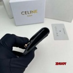 2024年11月1日秋冬新品入荷CELINE 財布 バッグ zhy工場