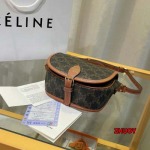 2024年11月1日秋冬新品入荷CELINE バッグ zhy工場18 X 17 X 6.5CM