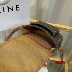 2024年11月1日秋冬新品入荷CELINE バッグ zhy工場18 X 17 X 6.5CM