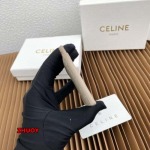 2024年11月1日秋冬新品入荷CELINE カードパック zhy工場