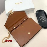 2024年11月1日秋冬新品入荷CELINE バッグ zhy工場19.3×13.5×3.5