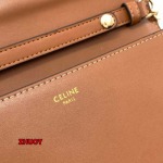 2024年11月1日秋冬新品入荷CELINE バッグ zhy工場19.3×13.5×3.5