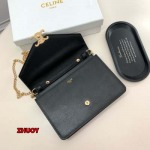 2024年11月1日秋冬新品入荷CELINE   バッグ zhy工場19.3×13.5×3.5