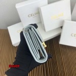 2024年11月1日秋冬新品入荷CELINE 財布 バッグ zhy工場