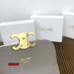 2024年11月1日秋冬新品入荷CELINE 財布 バッグ zhy工場