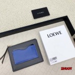 2024年11月1日秋冬新品入荷LOEWE カードパック  ...