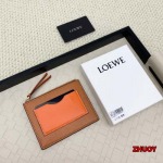 2024年11月1日秋冬新品入荷LOEWE カードパック  ...