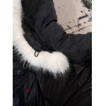 2024年11月13日秋冬新作入荷 Canada Goose   ダウンジャケット FF工場