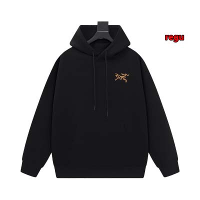 2024年11月14日秋冬新作入荷ARCTERYX パーカー...