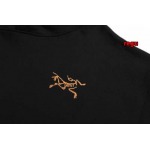 2024年11月14日秋冬新作入荷ARCTERYX パーカー REGU工場