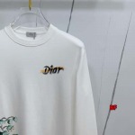 2024年11月18日秋冬高品質新品入荷ディオール 長袖 Tシャツ BF工場