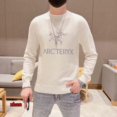 2024年11月21日秋冬新品入荷ARCTERYX  セータ...